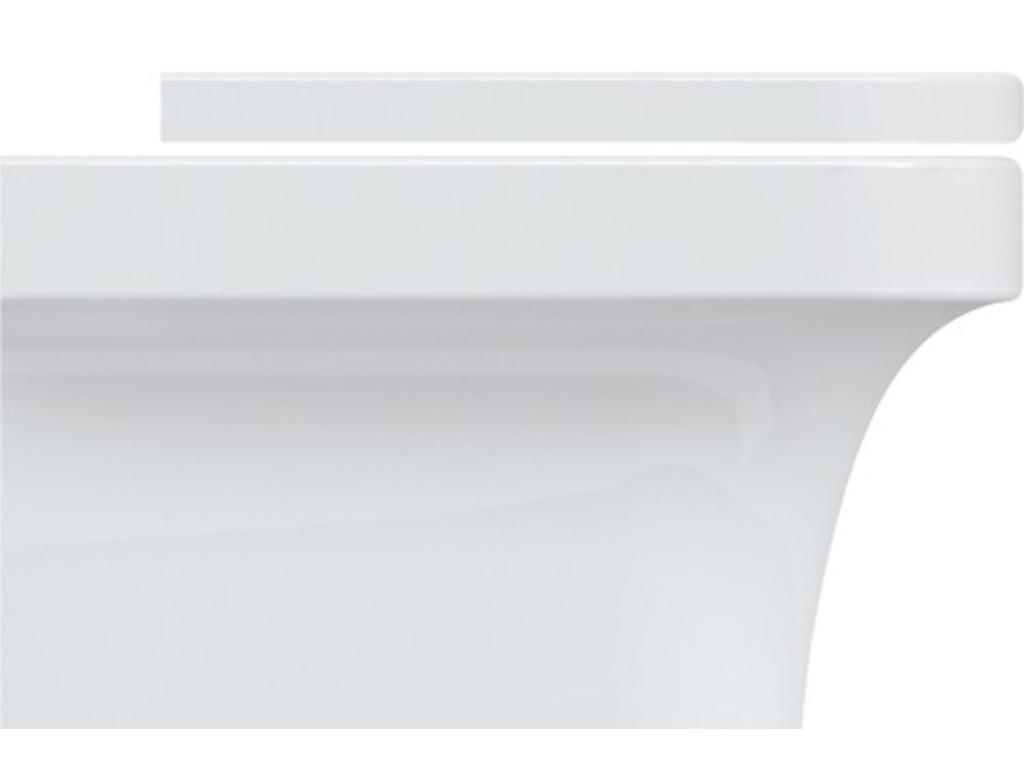 2107-zavesne-wc-tulip