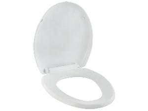 31885-wc-sedatko-boston