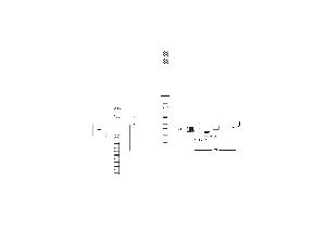 7807-nastenna-vanova-baterie-modernvarium-s-prislusenstvim