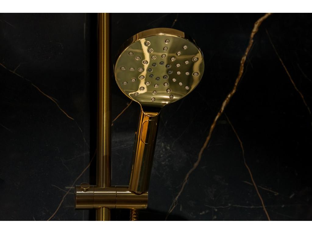 21712-rucni-sprcha-3-polohova-zlata-leskla