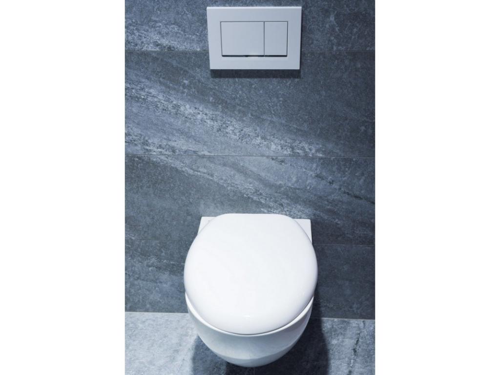 12698-wc-sedatko-boston