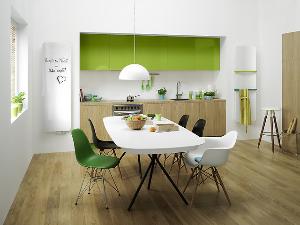 8533-koupelnovy-radiator-se-zrcadlem-indivi-new