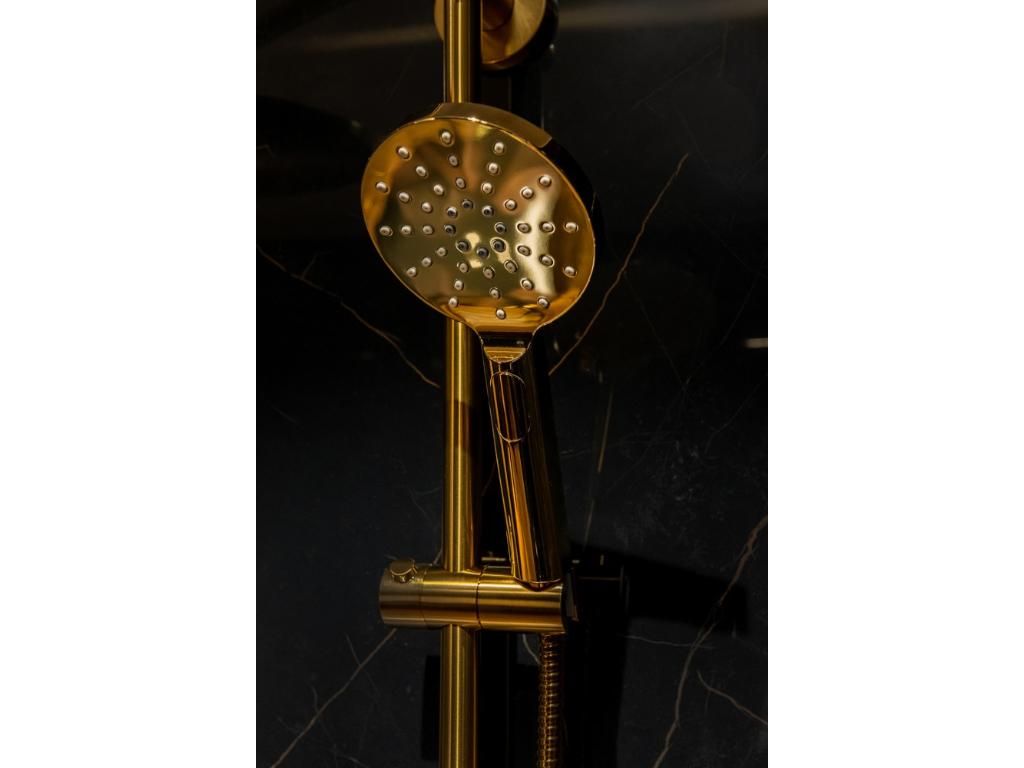 21713-rucni-sprcha-3-polohova-zlata-leskla