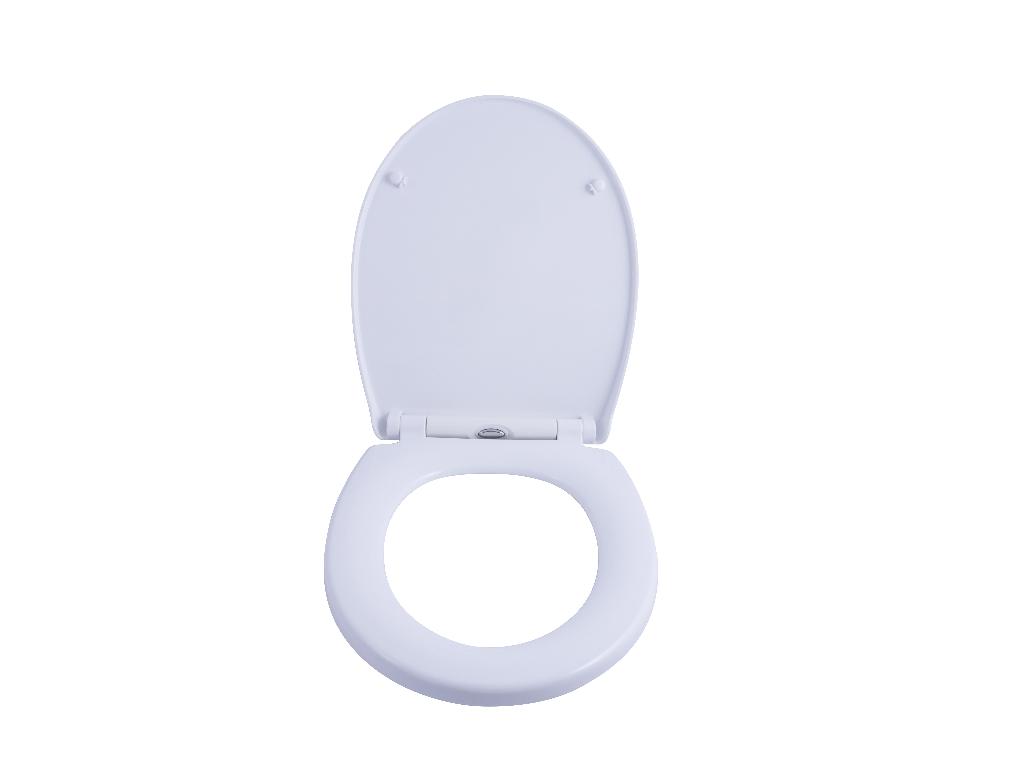 5446-wc-sedatko-swing