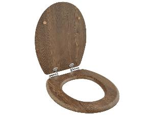 31975-wc-sedatko-filbert